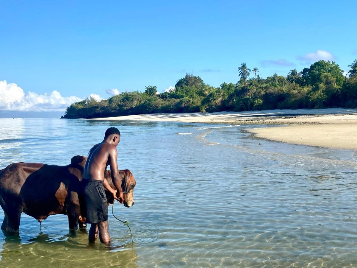 Kingstone Lodge Zanzibar Bet-el-Mali Eksteriør billede