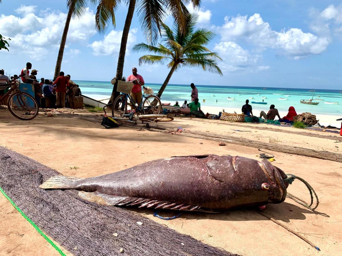 Kingstone Lodge Zanzibar Bet-el-Mali Eksteriør billede